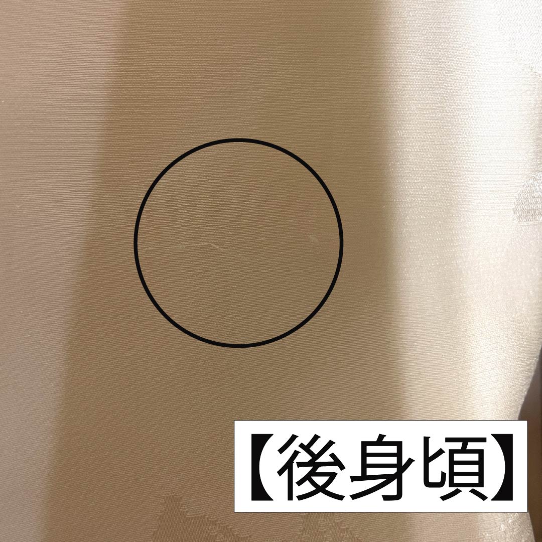 長襦袢 正絹 Sランク 身丈121cm 裄丈63.5cm 単衣 乙女色（おとめいろ） 吉祥文様 ピンク系 1129000792213