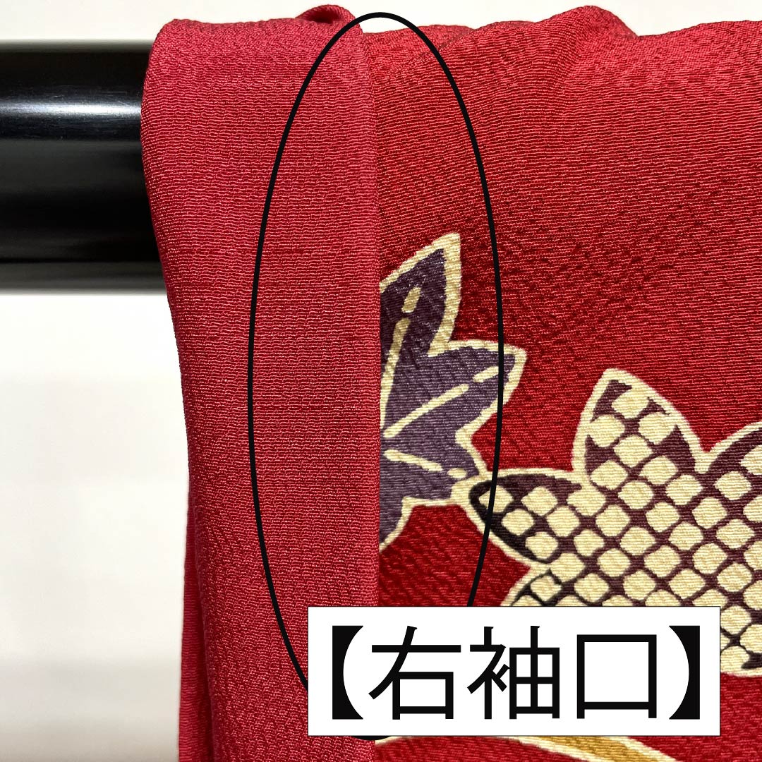 振袖 正絹 Aランク 身丈158.5cm 裄丈67cm 袷 紅赤色（べにあかいろ） 京紅型 吉祥文様 蝶 菖蒲 橘 赤系 1113002283312