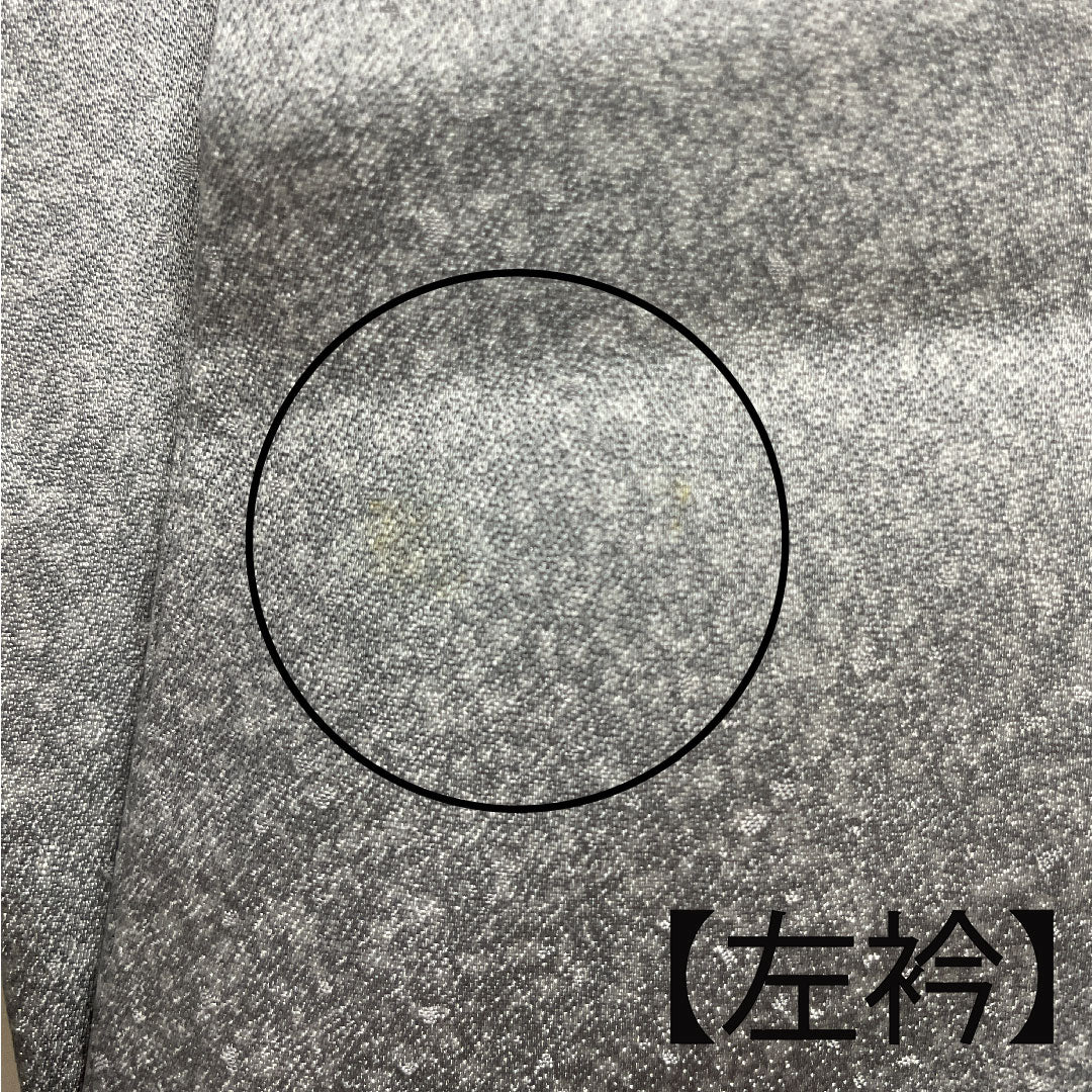 訪問着 袷 身丈149.5cm 裄丈62cm 白銅色 刺繡 金彩 草花模様 正絹 Bランク グレー系 1112001794122