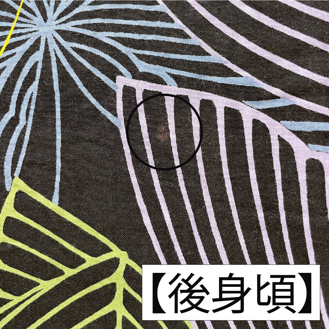 Cotton Yukata, Length 160.5cm, Sleeve Length 63.5cm, S Rank, Single Layer, Black, Butterfly Pattern, 1118006342410