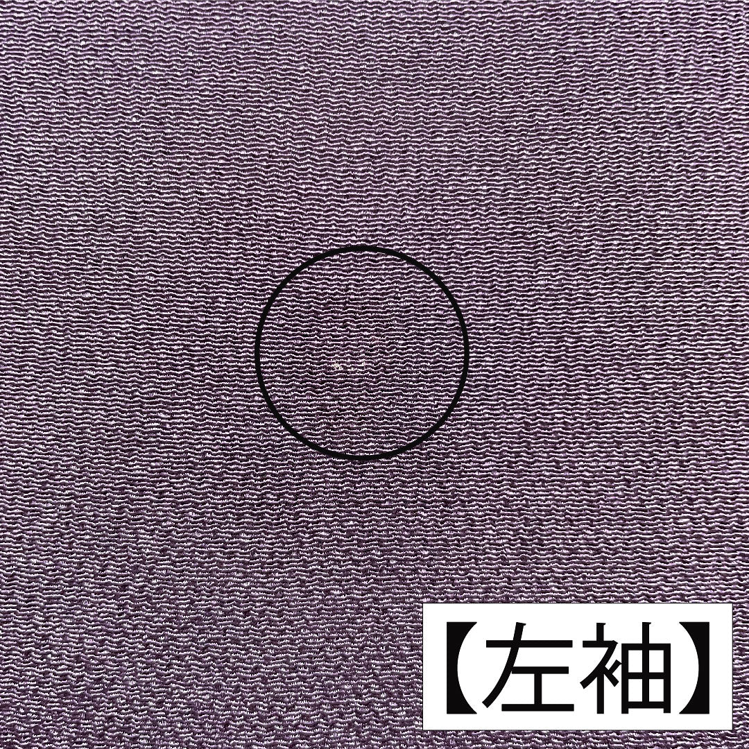 Homongi, pure silk, lined, length 154cm, sleeve length 62.5cm, eggplant navy blue, Kyoto Yuzen crepe, auspicious motif, A rank, purple, 1112005463220