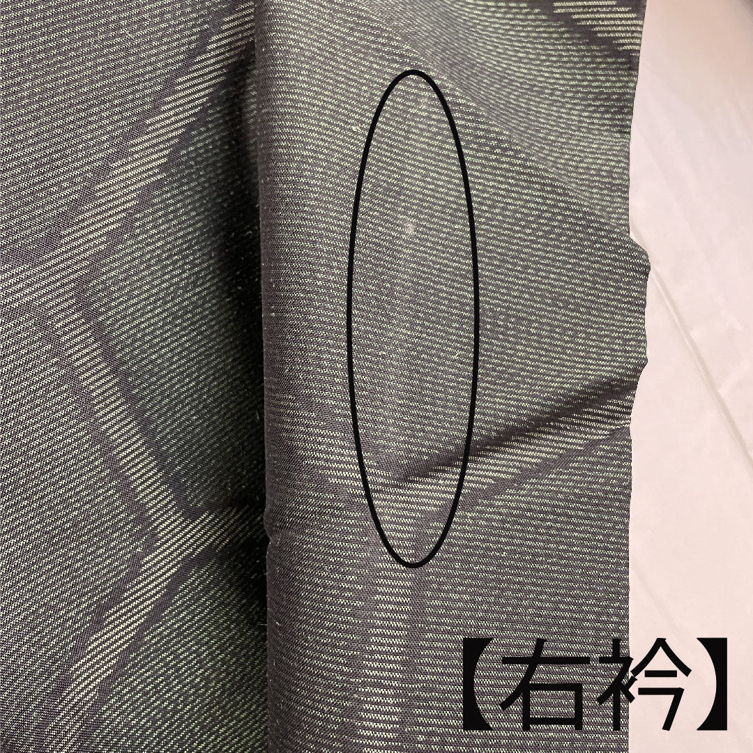 大島紬 身丈166cm 裄丈67cm 緯総絣 亀甲 正絹 Bランク 袷 緑系 1116001554519