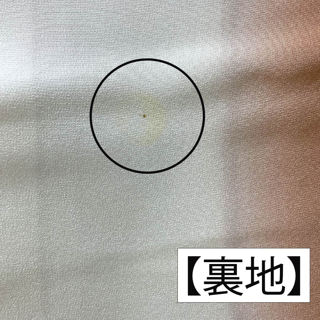 小紋 正絹 Sランク 身丈154.5cm 裄丈63cm 袷 紅海老茶色（べにえびちゃいろ） 江戸小紋  茶系 1115007272214