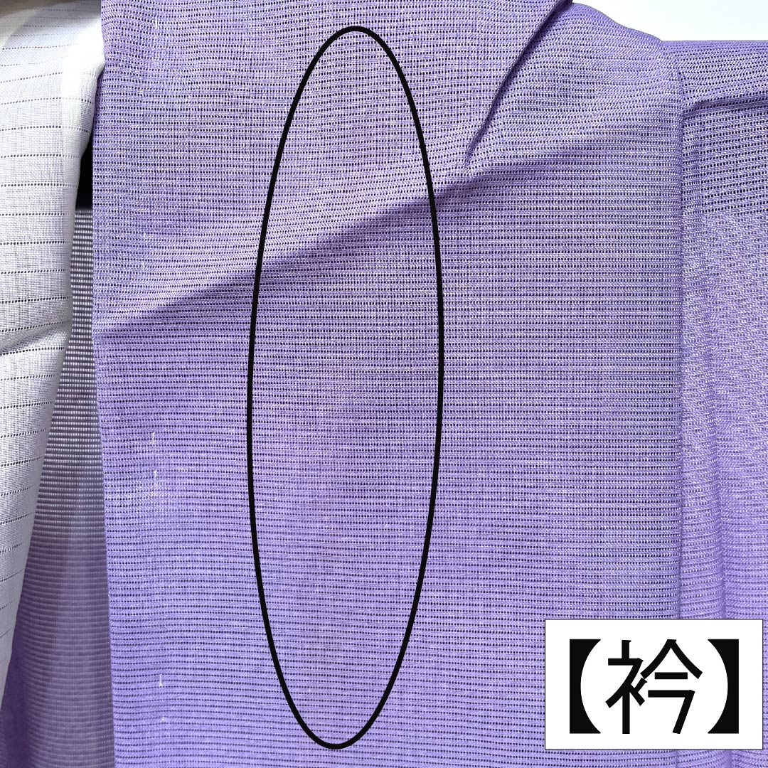 夏物 ポリエステル 訪問着 Bランク 身丈155.5cm 裄丈63cm 紫苑色（しおんいろ） 付下げ 鯉 流水 絽 紫系 1132004474320