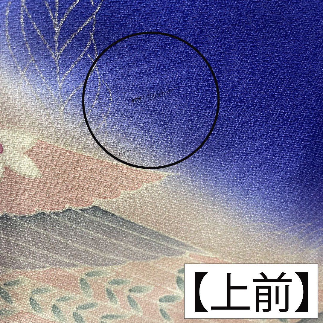 Homongi, pure silk, lined, length 161cm, sleeve length 65.5cm, bellflower color, Kyoto Yuzen, peacock, A rank, navy blue, 1112004353418