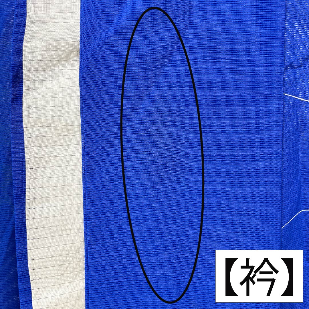 夏物 正絹 訪問着 Aランク 身丈157.5cm 裄丈64cm 瑠璃色（るりいろ） 付下げ 草花模様 京友禅 絽 青系 1132003753317