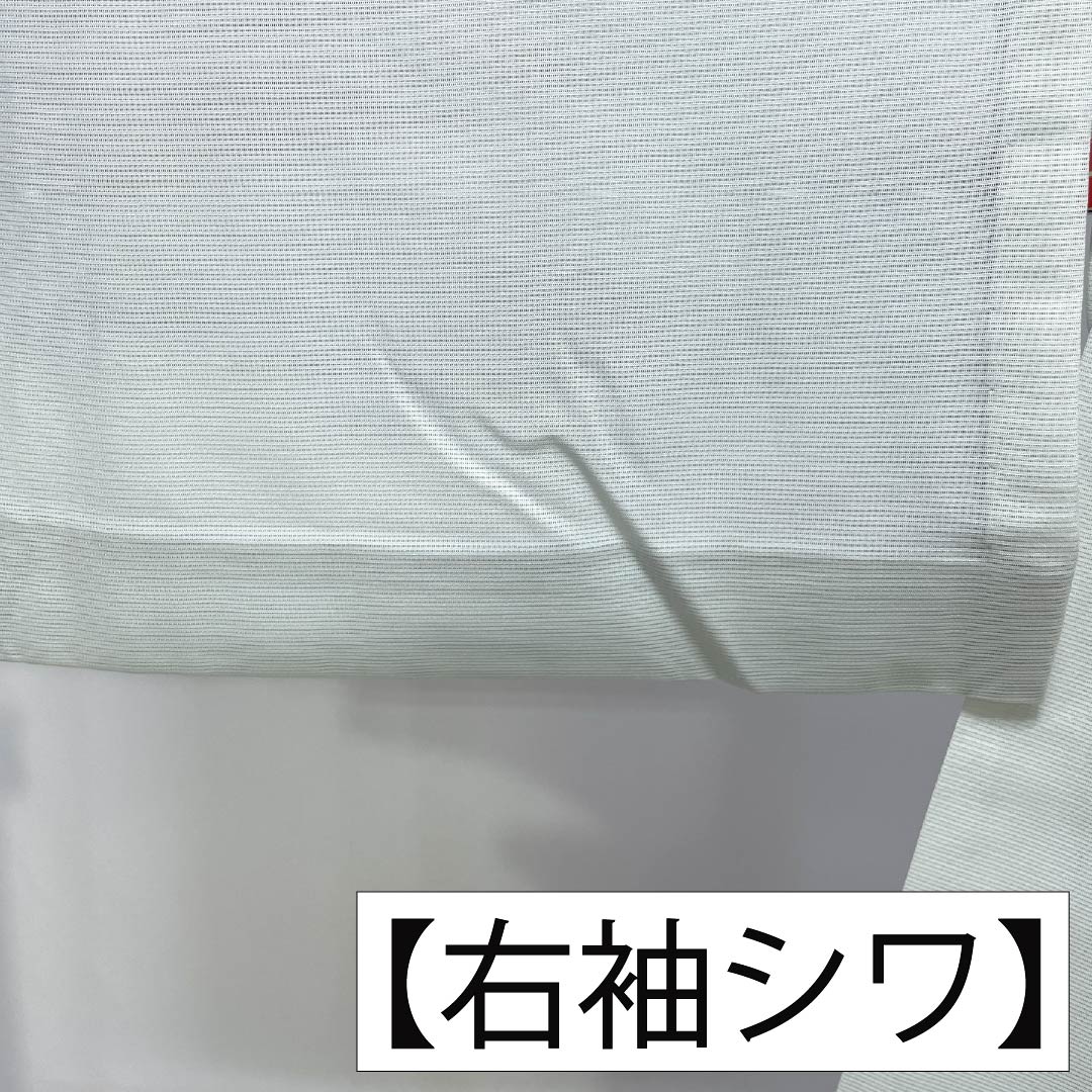 夏物 正絹 付下げ Sランク 身丈153cm 裄丈62.5cm 卯の花色（うのはないろ） ボカシ染 霞模様 絽 水色系 1132006402224