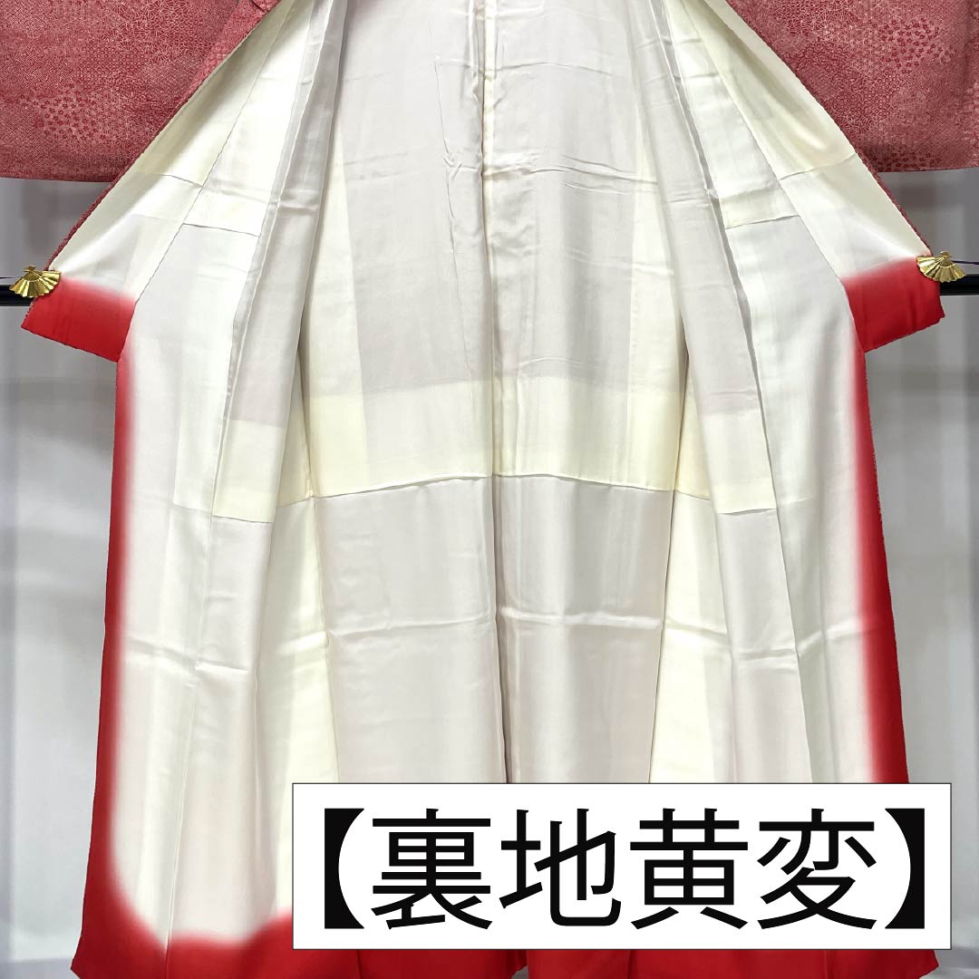 小紋 正絹 Aランク 身丈149.5cm 裄丈60cm 袷 柘榴色（ざくろいろ） 江戸小紋 裂取り 赤系 1115006943112