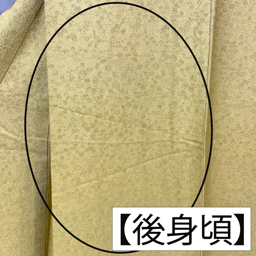 色無地 正絹 Sランク 身丈164cm 裄丈64.5cm 梨子色（なしいろ） 綸子 草花 袷 黄系 1114002242423