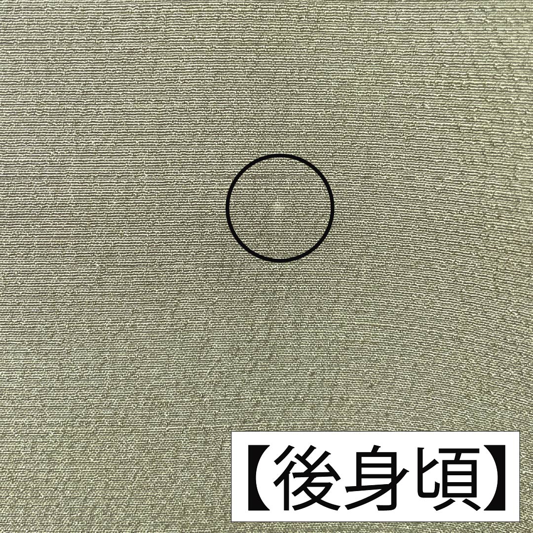 Visiting Kimono, Pure Silk, S Rank, Lined, Length 159.5cm, Sleeve Length 62.5cm, Negishi Color (Negishi-iro), Tsukesage, Fukiyose Pattern, Green Embroidery, Product Number: 1112007092319