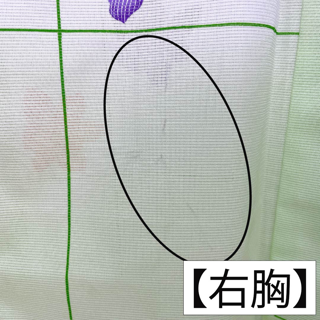 夏物 ポリエステル 小紋 Aランク 身丈158cm 裄丈62cm 黄緑色 竹垣 花柄 洗える着物 絽 緑系 1132005413319