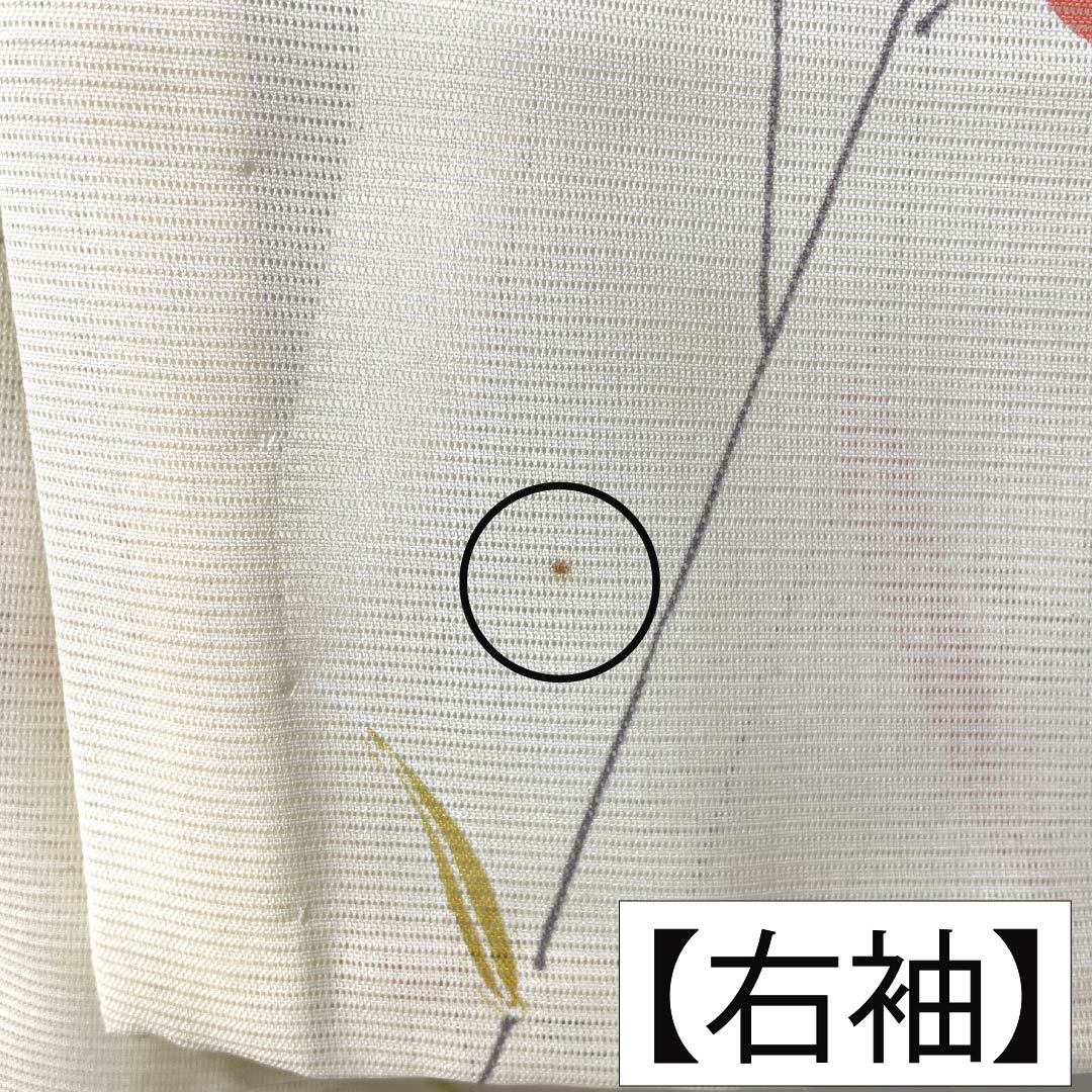 夏物 ポリエステル 小紋 Aランク 身丈163.5cm 裄丈64cm 白百合色（しらゆりいろ） 草花模様 絽 黄系 1132004513423