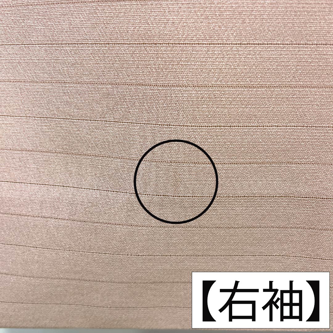 夏物 ポリエステル 付下げ Aランク 身丈165.5cm 裄丈68.5cm 退紅色（あらそめいろ） 洗える着物 露芝 蝶 絽 ピンク系 1132006263513