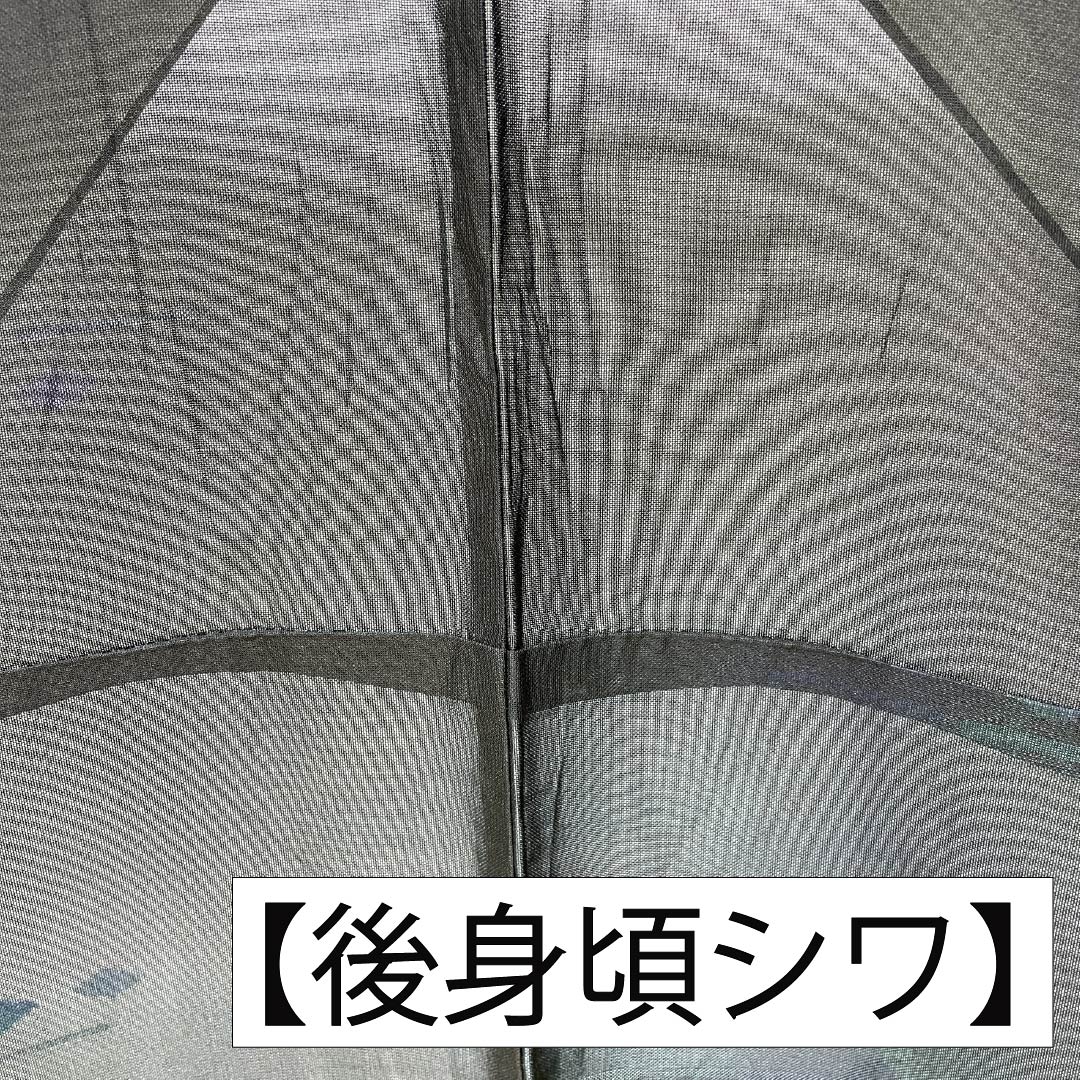 夏物 正絹 お召 Aランク 身丈155.5cm 裄丈65cm 抽象模様 紗 黒系 1132004643310