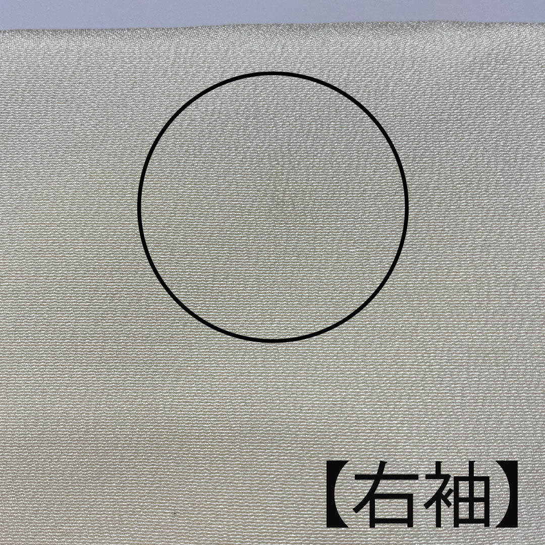 訪問着 袷 身丈159cm 裄丈62.5cm 鳥の子色 京紅型 草花模様 正絹 Aランク クリーム系 1112001943315