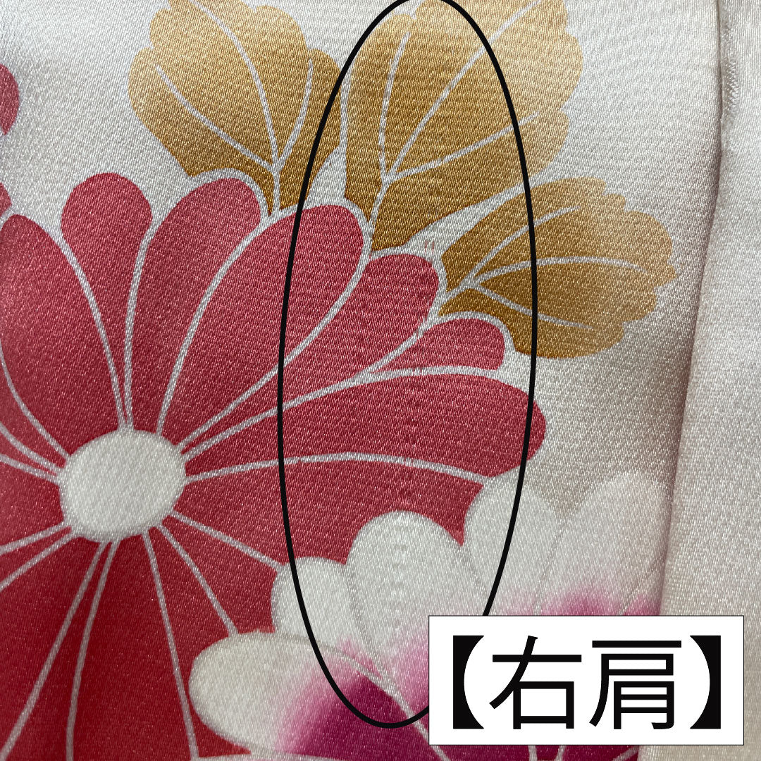 色打掛 正絹 Aランク 身丈195cm 裄丈67.5cm 鳥居ユキ 菊 桜 袷 クリーム系 1110001013915