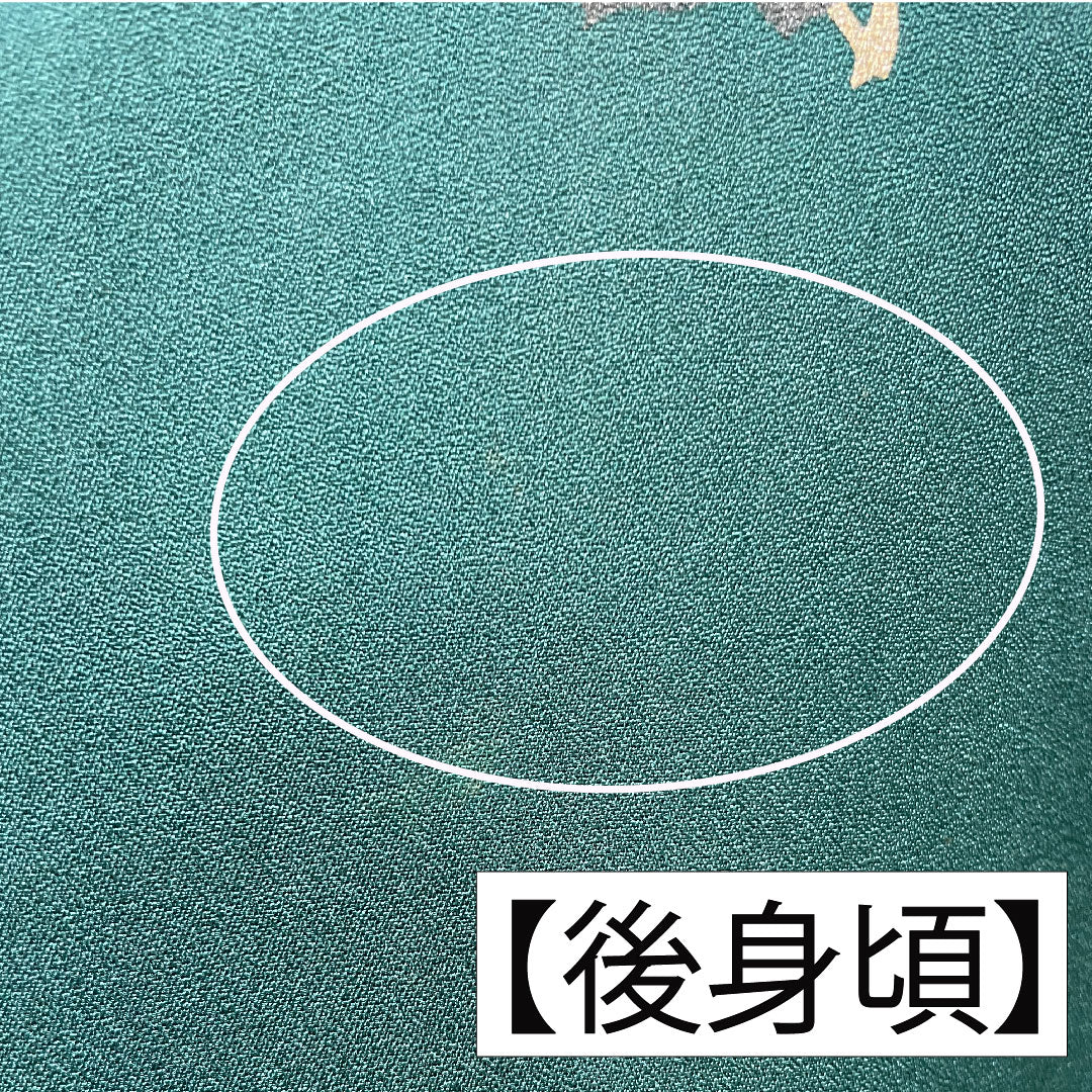Homongi, pure silk, lined, length 166cm, sleeve length 66cm, Satsuma Nandouiro, Kyo-Yuzen, floral pattern, A rank, green, 1112004243519