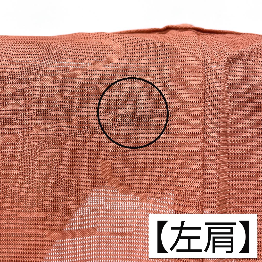 夏物 ポリエステル 色無地 Sランク 身丈166cm 裄丈68.5cm 珊瑚色（さんごいろ） 洗える着物 流水 絽 橙系 1132005752526