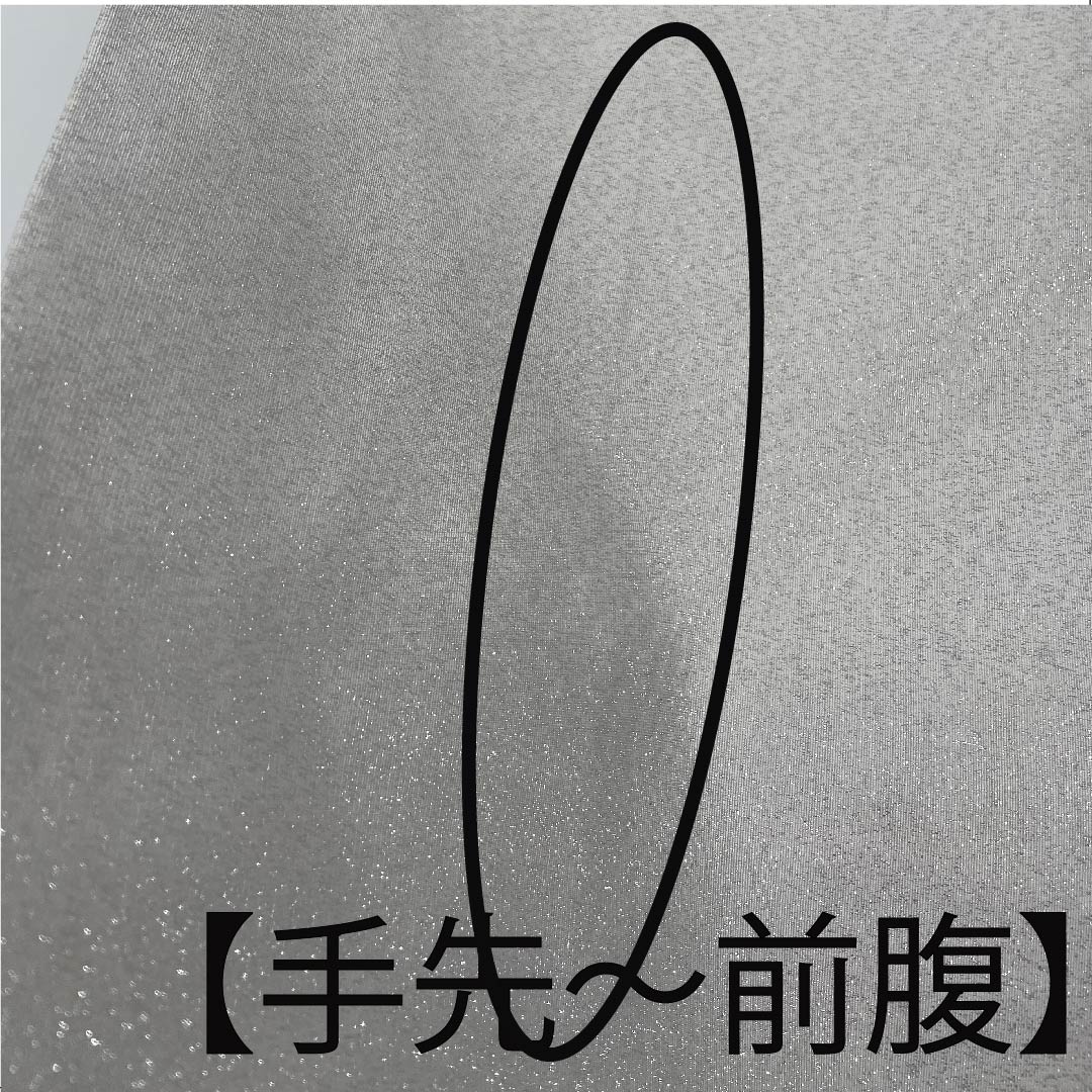 袋帯 銀白色色（ぎんはくしょくいろ） 小花 帯丈446cm 正絹 Bランク 六通 セミフォーマル 銀系 1123007174322