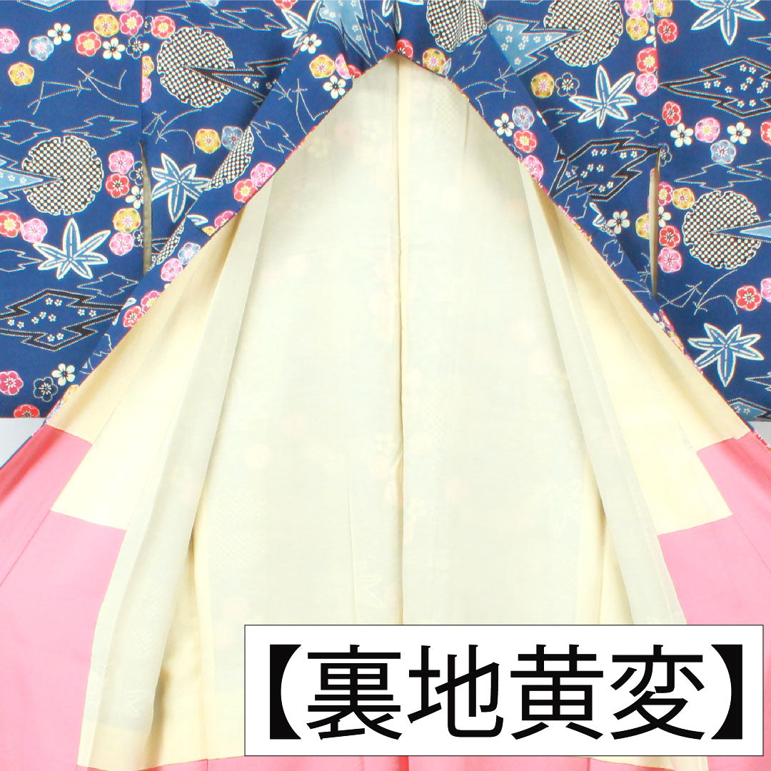 小紋 正絹 身丈162cm 裄丈65cm 袷 鉄葡萄色（てつぶどういろ） 京紅型 吉祥文様 Aランク 紺系 1115004453418