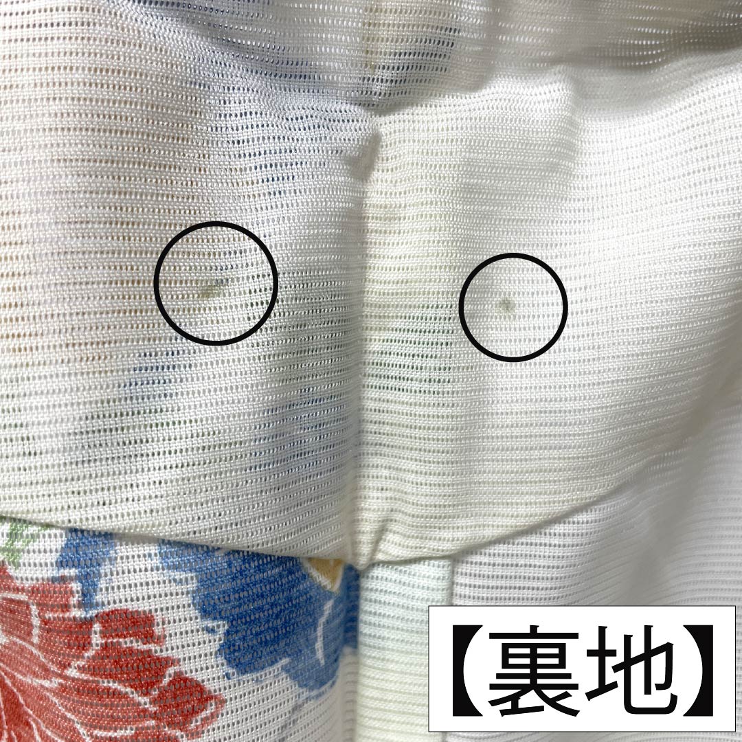 夏物 ポリエステル 小紋 Aランク 身丈166.5cm 裄丈66cm 乳白色（にゅうはくしょく） 洗える着物 草花模様 古典柄 絽 白系 1132007163511