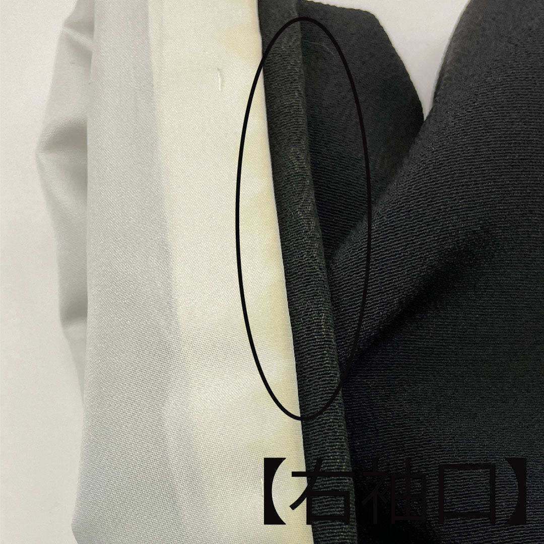 黒留袖 身丈165cm 裄丈65cm 袷 几帳 吉祥文様 丸に二つ引き 正絹 Bランク 五つ紋 黒系 1111000324510