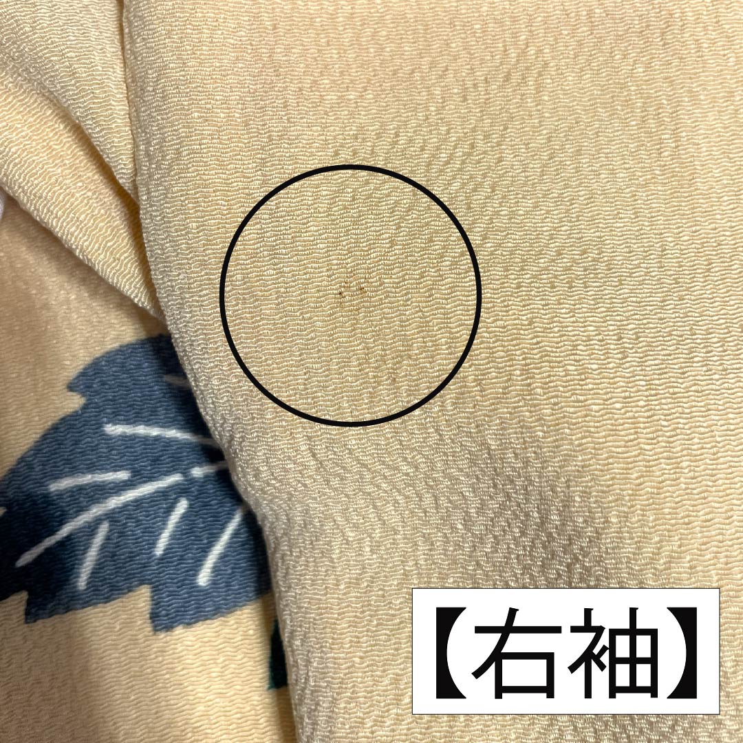 振袖 正絹 Aランク 身丈161cm 裄丈62.5cm 袷 薄柑子色（うすこうじいろ） 京紅型 牡丹 藤 ちりめん地 橙系 1113002403426