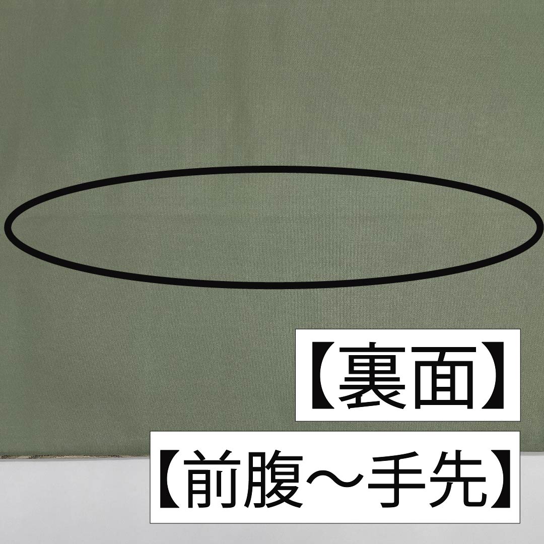 袋帯 正絹 岩井茶色（いわいちゃいろ） 加納幸 幾何学模様 イチョウの葉 木の葉 帯丈440cm Sランク 六通 セミフォーマル 緑系 1123011352319