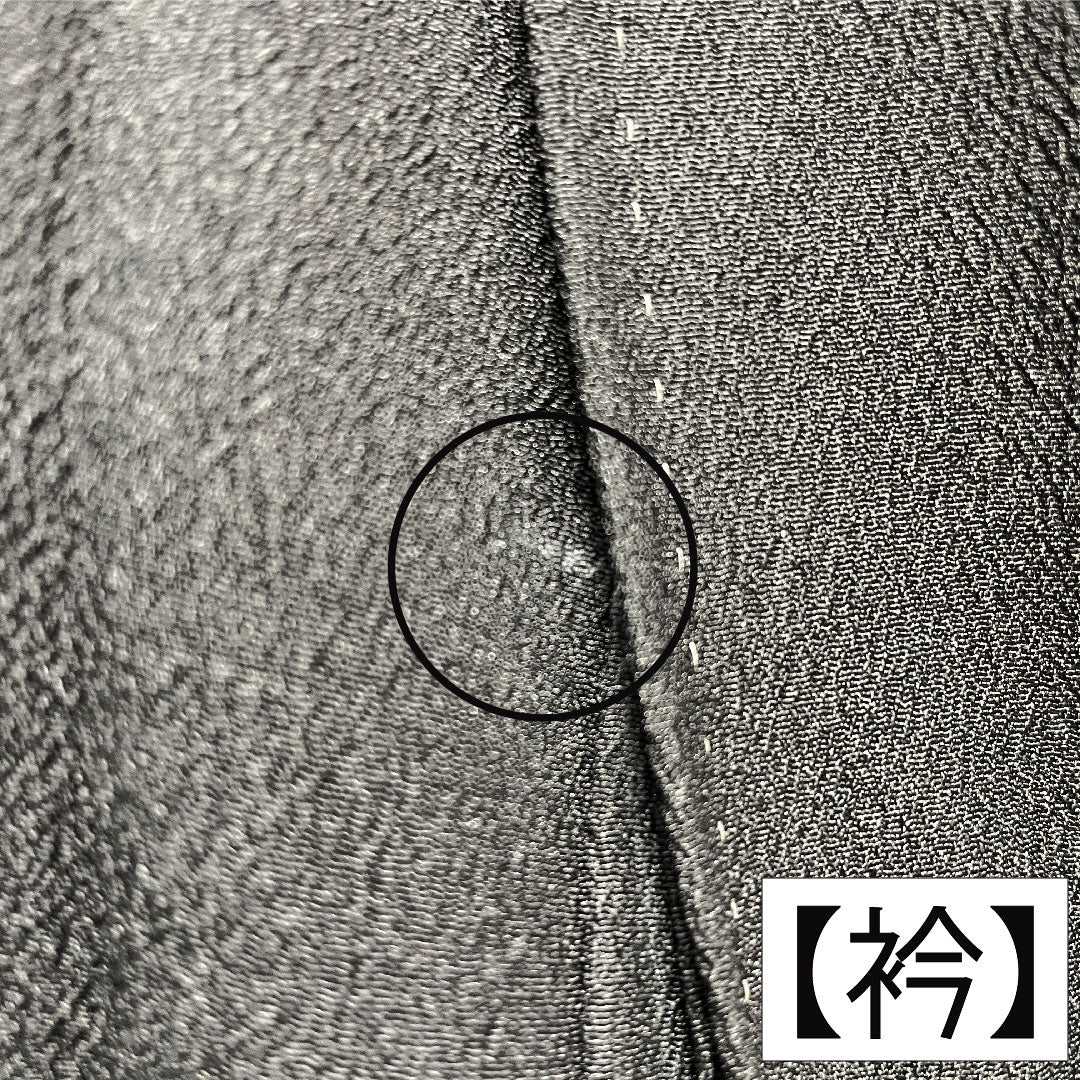 訪問着 ポリエステル 胴抜き 身丈160cm 裄丈64.5cm 洗える着物 梅 重ね衿付き Aランク 黒系 1112005653410