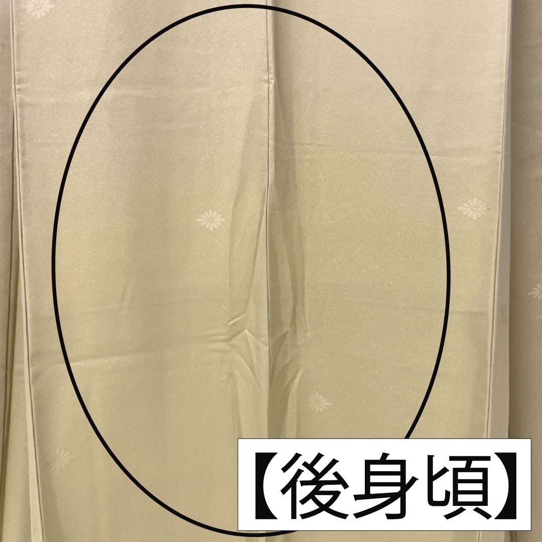 色無地 正絹 Aランク 身丈162cm 裄丈64cm 枯野色（かれのいろ） 綸子 菊 袷 ベージュ系 1114002253425