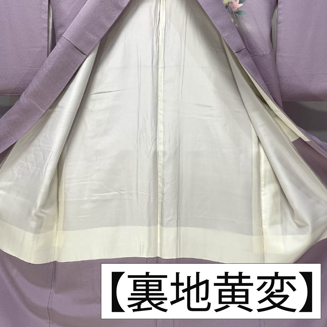 訪問着 正絹 Bランク 袷 身丈165.5cm 裄丈67.5cm 淡紅藤色（うすべにふじいろ） 付下げ 草花 紫系 1112007404520
