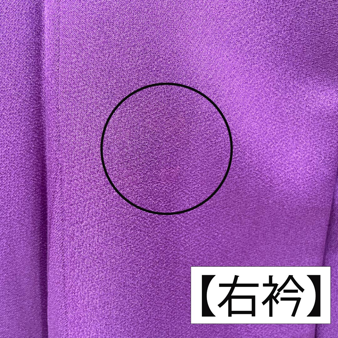 振袖 正絹 Aランク 身丈169cm 裄丈69cm 袷 似紫色（にせむらさきいろ） 京友禅 草花 紫系 1113002153520