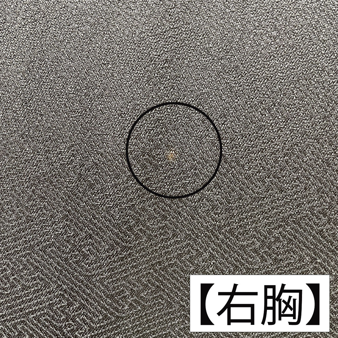 訪問着 正絹 袷 身丈164cm 裄丈63.5cm 藍鼠色（あいねずいろ） 部分絞り 桜 Aランク グレー系 1112005773422