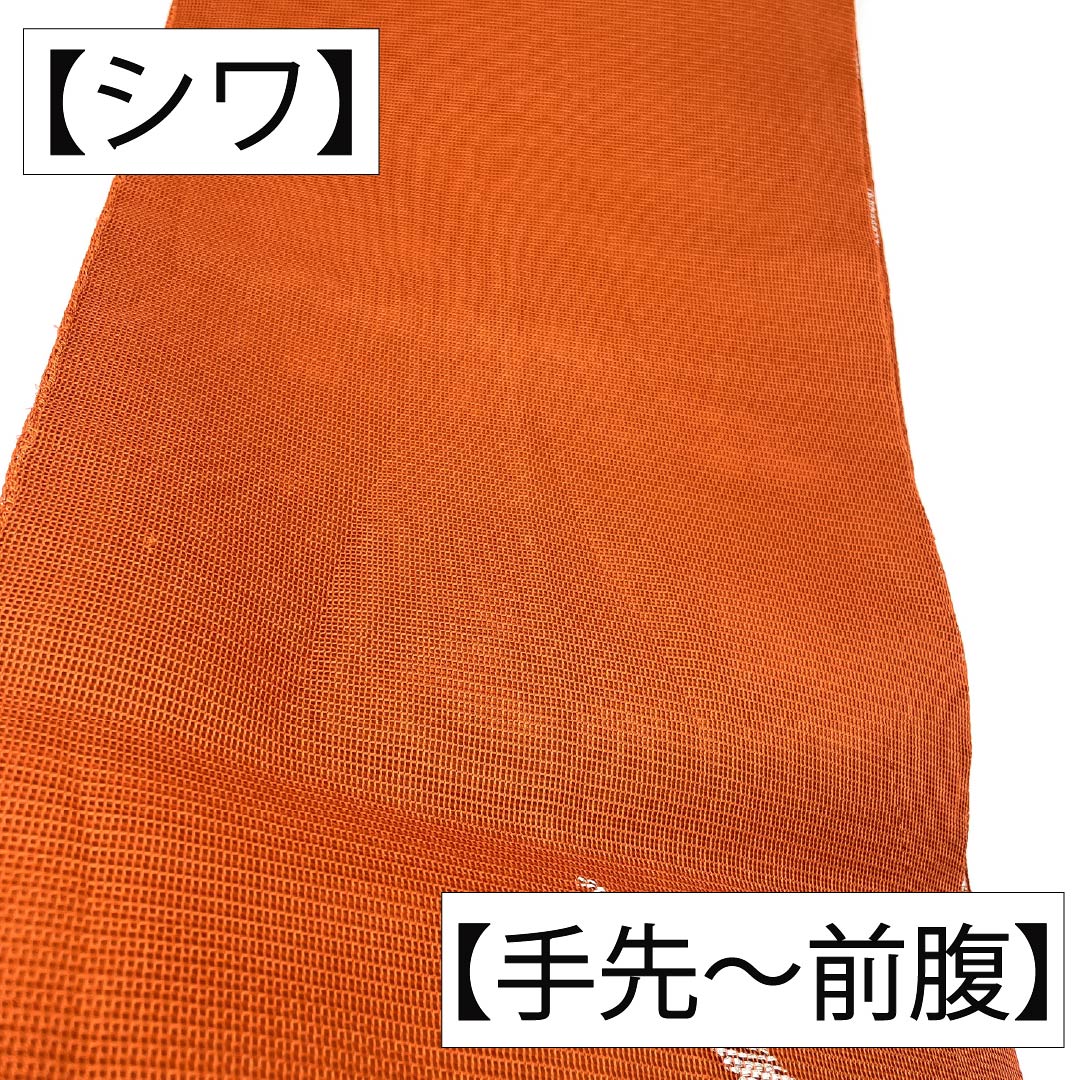 袋帯 正絹 Aランク 紅葉色（もみじいろ） 夏帯 露芝模様 古典柄  帯丈432cm 六通 セミフォーマル 茶系 1123017473314