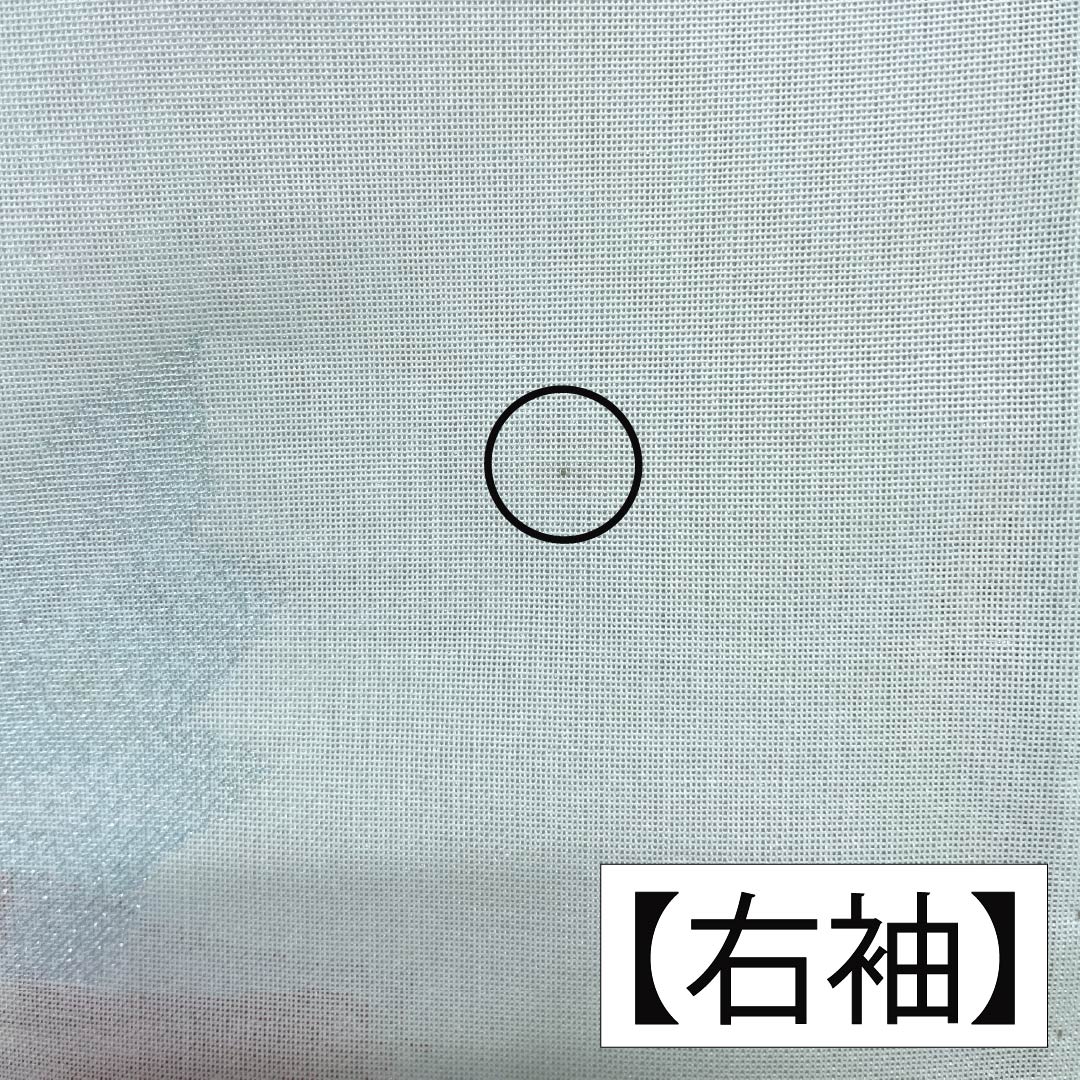夏物 ポリエステル お召 Aランク 身丈159.5cm 裄丈64.5cm 青白磁色（せいはくじいろ） すくい織 薔薇 洗える着物 紗 水色系 1132004963324