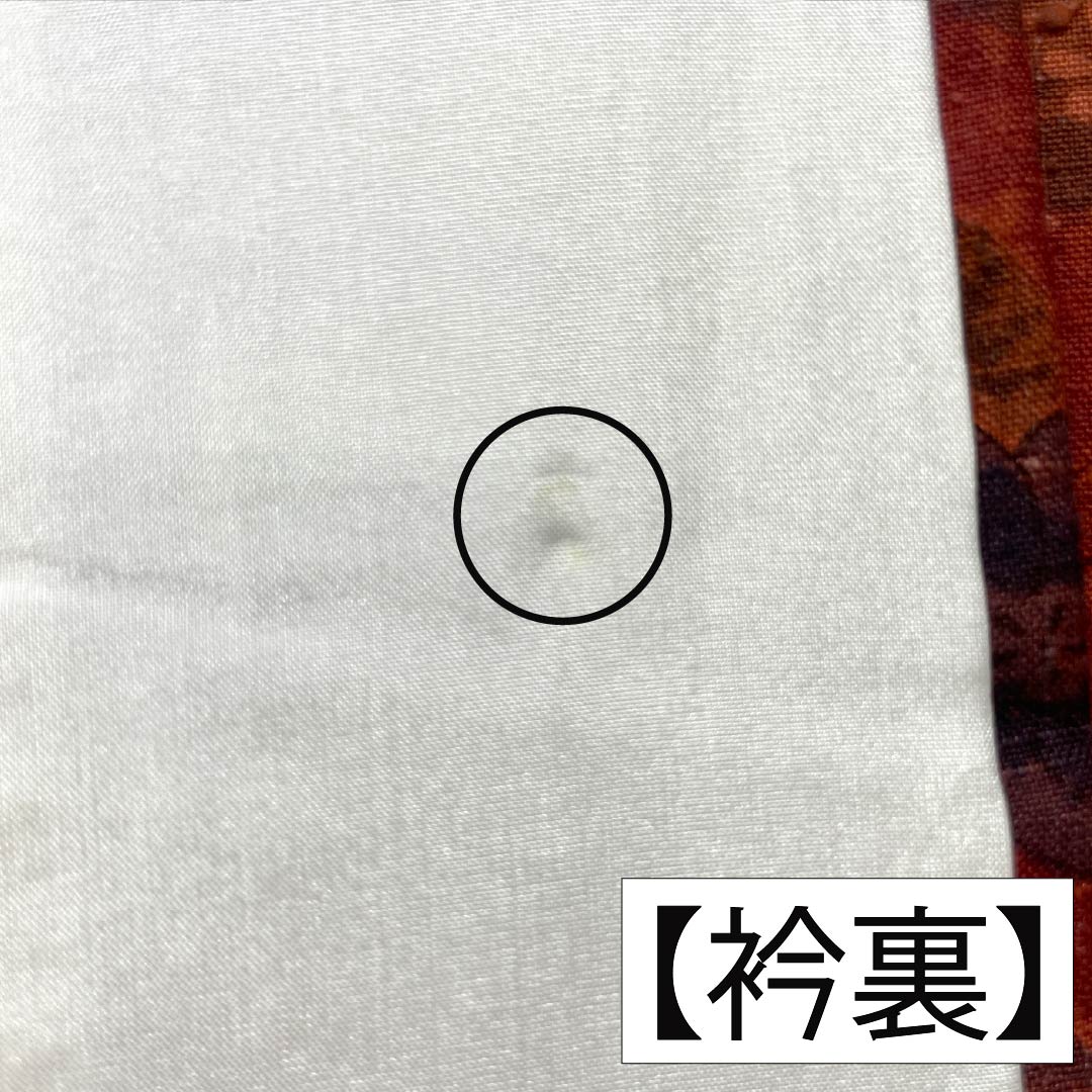 小紋 正絹 身丈161cm 裄丈67cm 袷 濃紅葉色（こいもみじいろ） 辻ヶ花 しつけ糸付き Sランク 朱系 1115005302416