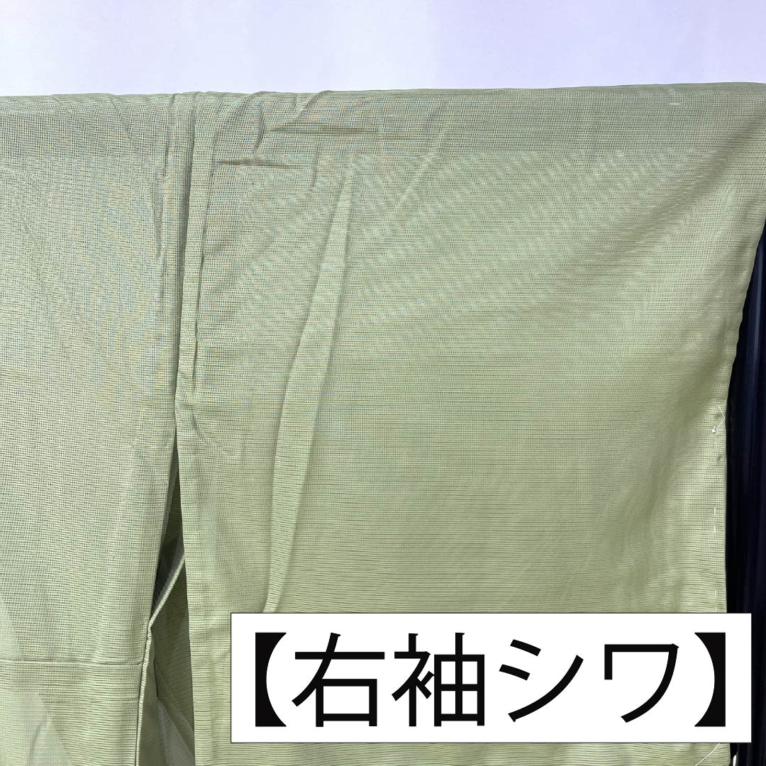 夏物 ポリエステル 色無地 Sランク 身丈165cm 裄丈67cm 薄緑色（うすみどりいろ） 洗える着物 素無地 絽 緑系 1132004122519