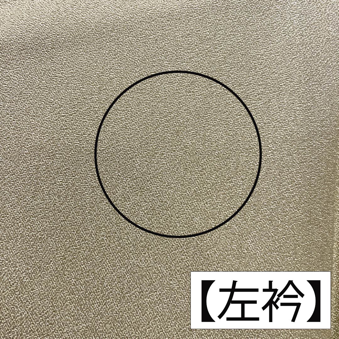 訪問着 正絹 Bランク 袷 身丈165.5cm 裄丈67cm 淡黄蘗色（うすきはだいろ） 金彩 流水 鶴 黄系 1112006904523