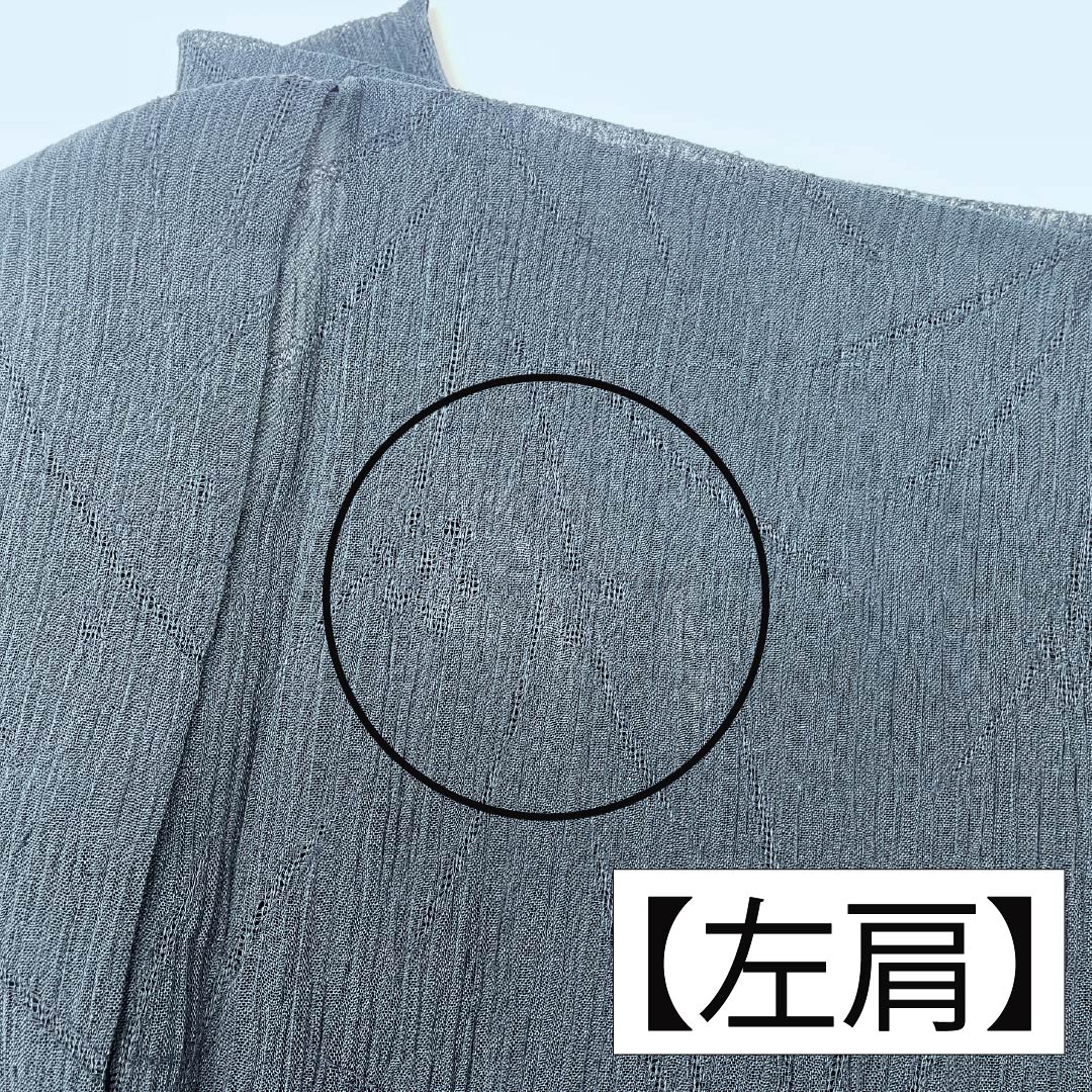 夏物 ポリエステル 色無地 Aランク 身丈160cm 裄丈63.5cm 青墨色（あおずみいろ） 草花模様 縮風 紗 緑系 1132004623419