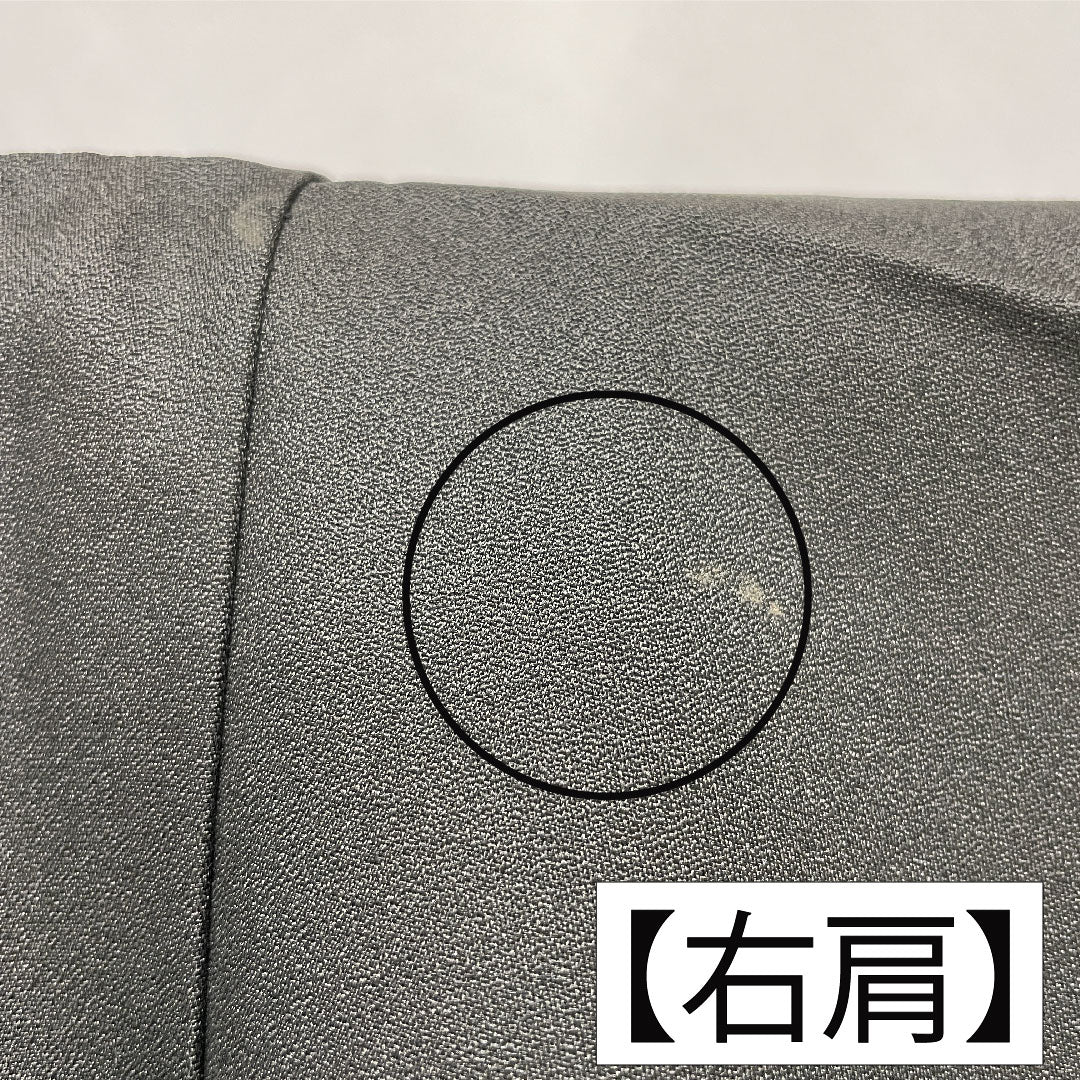 Homongi, pure silk, lined, length 158cm, sleeve length 62.5cm, Kyoto Yuzen, floral pattern, A rank, black, 1112005613310