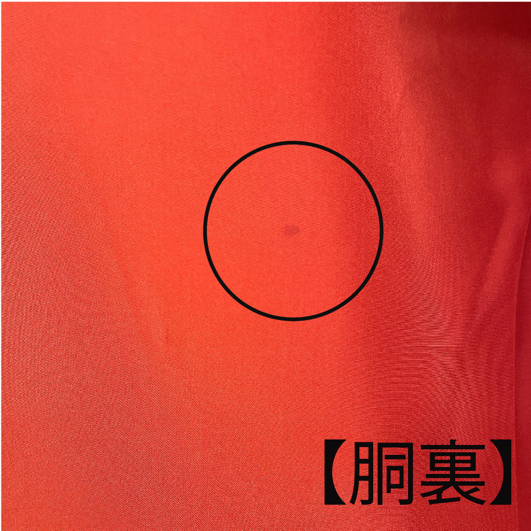 色打掛 身丈186cm 紗綾形 鶴 松 正絹 Sランク 袷 赤系 1110000112812