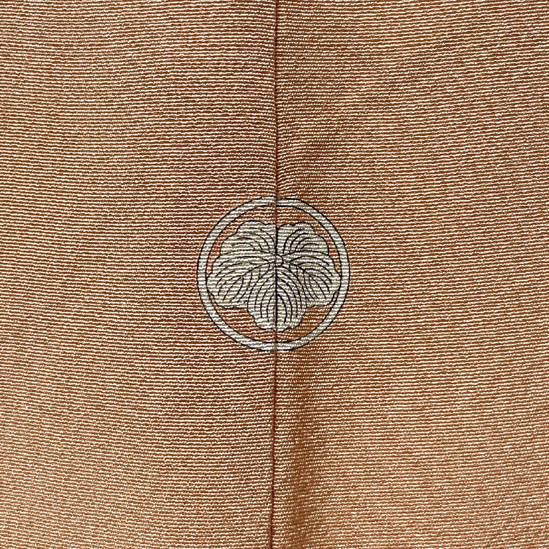 訪問着 正絹 Sランク 袷 身丈157.5cm 裄丈63cm 鮭色（さけいろ） 丸に蔦 付下げ 一つ紋 刺繍 草花 ピンク系 1112006332313