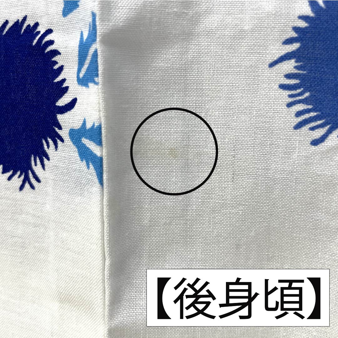 Cotton Yukata, Length 166cm, Sleeve Length 64cm, S Rank, Single Layer, White, Thistle Pattern, 1118006742511