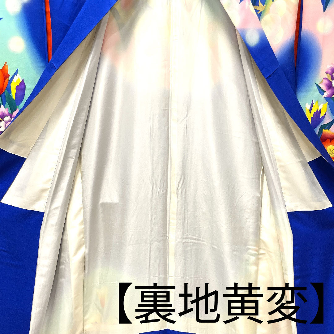 振袖 身丈176.5cm 裄丈64cm 袷  瑠璃色 花鳥模様  正絹 Bランク 紺系 1113001484818
