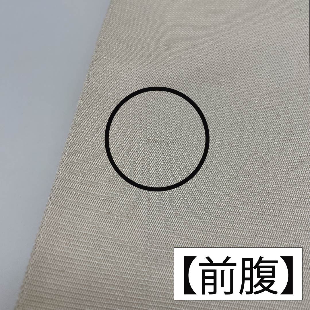 リサイクル着物】袋帯 正絹 胡粉色（ごふんいろ） 留袖用 刺繍