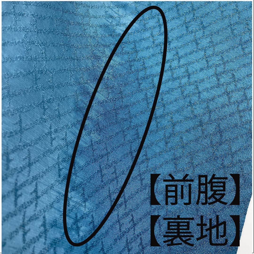 袋帯 雪輪 絞り 銀糸 帯丈448cm 正絹 Aランク ポイント柄 セミフォーマル グラデーション系 1123006143399