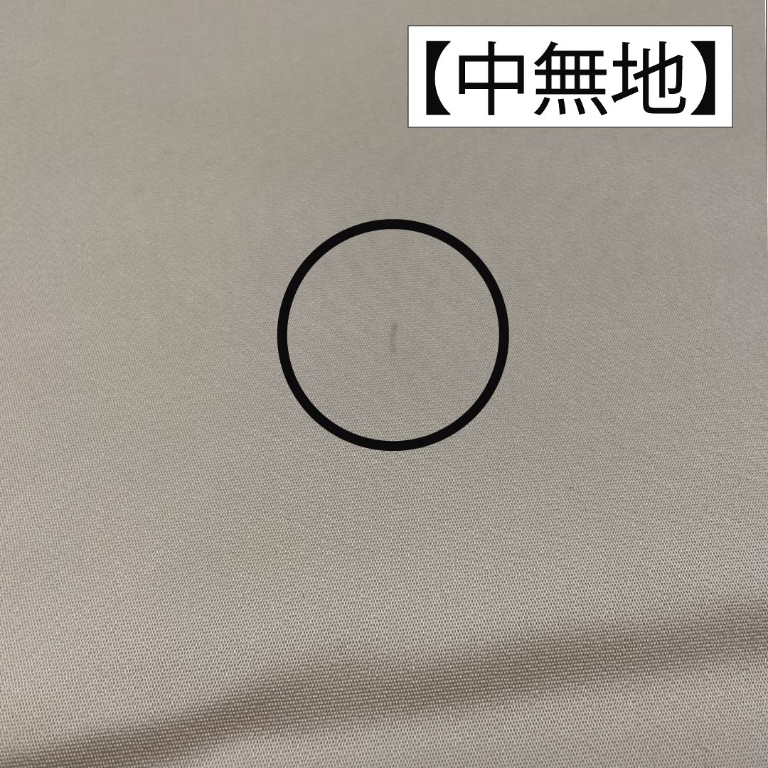 袋帯 正絹 Sランク 胡粉色（ごふんいろ） 唐織 留袖用 振袖用 古典柄 帯丈432cm 六通 フォーマル 白系 1123015642311