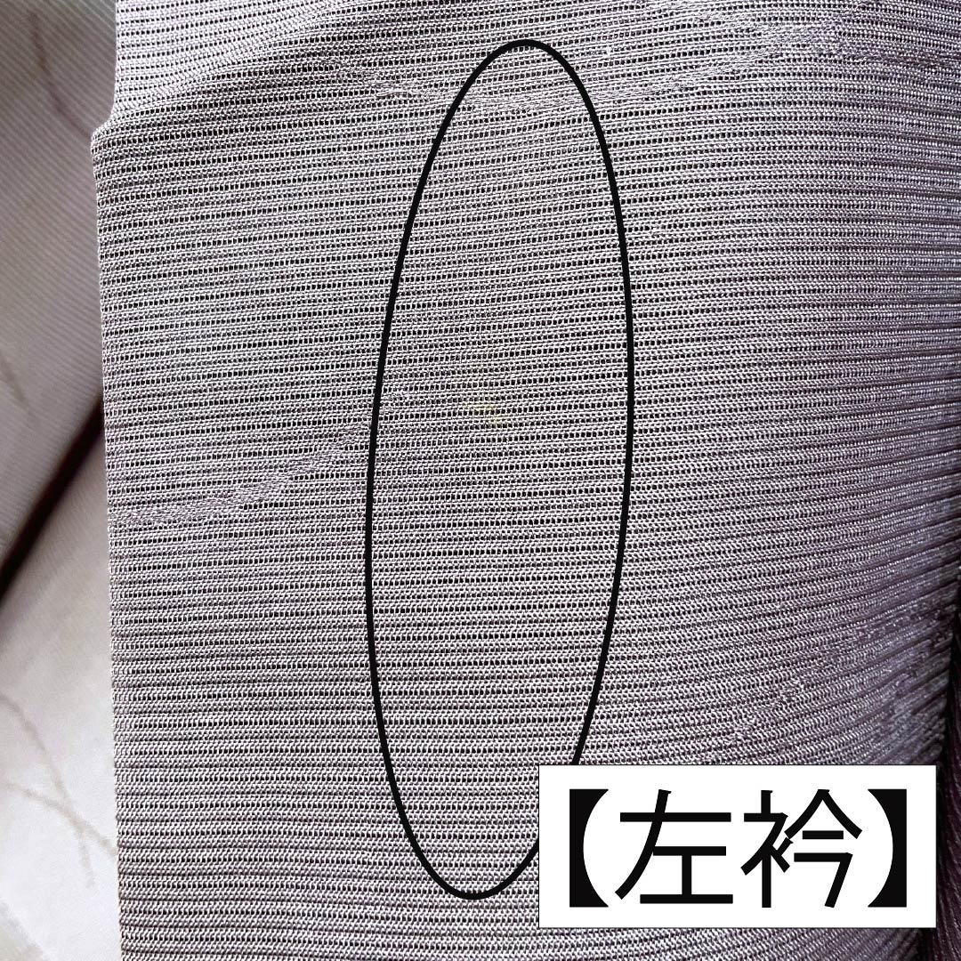 夏物 正絹 色無地 Bランク 身丈154cm 裄丈63cm 中滅紫色（なかのけしむらさきいろ） 露芝 絽 紫系 1132004464220