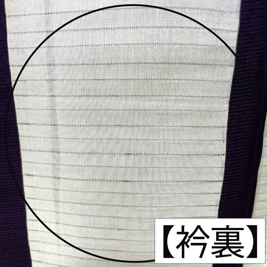 夏物 正絹 色無地 Aランク 身丈160.5cm 裄丈62.5cm 紫烏色（しうしょく） 木の葉 絽 紫系 1132004753420