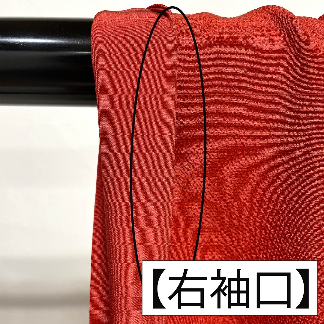 振袖 正絹 Sランク 身丈167cm 裄丈66cm 袷 赤色（あかいろ） 京紅型 吉祥文様 蝶 橘 赤系 1113002322512